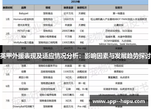 英甲外援表现及适应情况分析：影响因素与发展趋势探讨