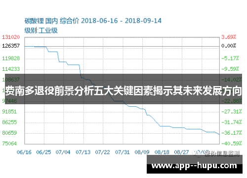 费南多退役前景分析五大关键因素揭示其未来发展方向