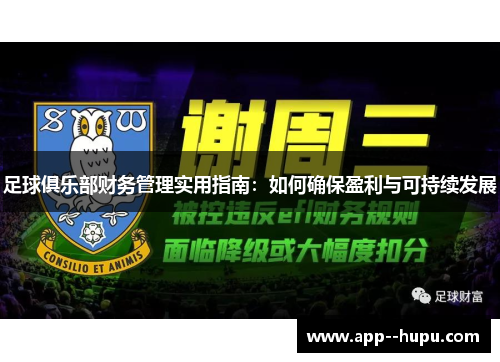 足球俱乐部财务管理实用指南：如何确保盈利与可持续发展