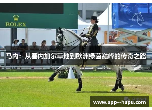 马内：从塞内加尔草地到欧洲绿茵巅峰的传奇之路